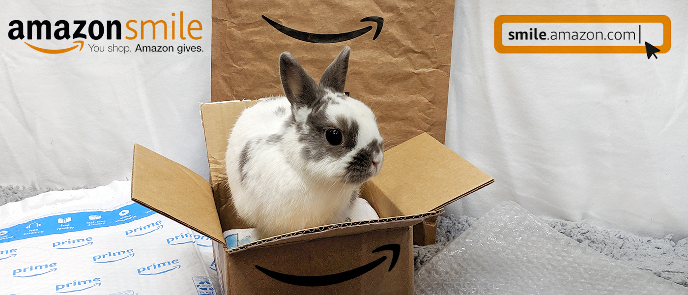 Amazon Smile Erie Area Rabbit Society And Rescue Ears