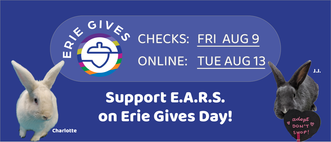 Erie Gives Day 2024